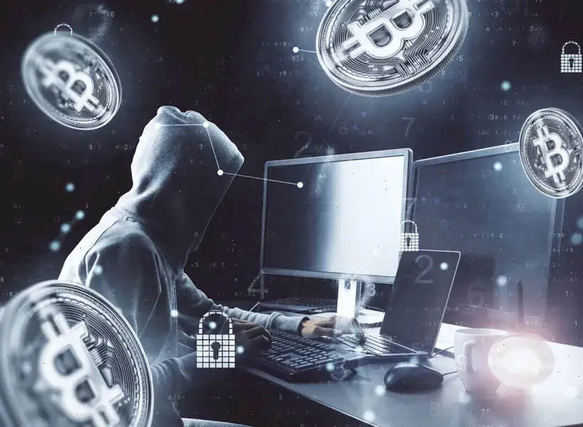 Trade Vector AI environnement d'investissement